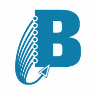 Logo Bay Computer Associates, Inc.
