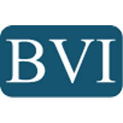 Logo Business Valuation, Inc.
