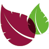 Logo EcoCar SA