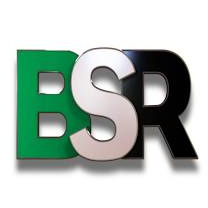 Logo BSR Trust LLC