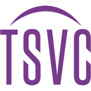 Logo Tsinghua Silicon Valley Capital