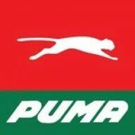 Logo Puma Energy Singapore Pte Ltd.