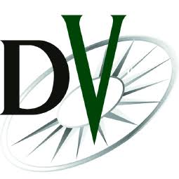Logo Data Ventures, Inc.
