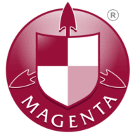 Logo Magenta Security Services Ltd.