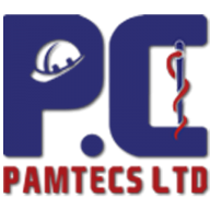 Logo Pamtecs Ltd.