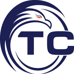 Logo TCecure LLC