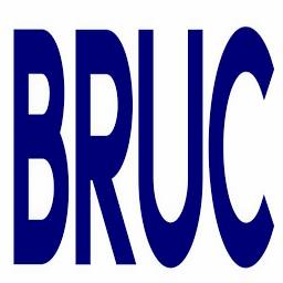 Logo Bruc Management Projects SL