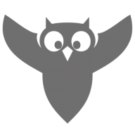 Logo Bird Aerosystems Ltd.