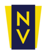 Logo Nelstone Ventures Advisors LLC