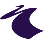 Logo Stichting Hogeschool Leiden