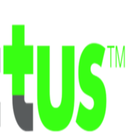 Logo Intellectus Partners LLC