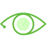 Logo Wideeye Surveillance