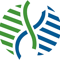 Logo ViroVet NV