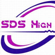 Logo Systems Development et Solutions SAS