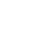 Logo SwineTech, Inc.