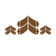 Logo Ornsirin Holding Public Co. Ltd.