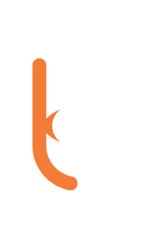 Logo UVeye Ltd.