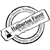 Logo Haliburton Forest & Wild Life Reserve Ltd.