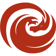 Logo The Dragon Group LLC