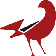 Logo T-Bird Capital LLC