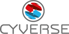 Logo Cyverse AG