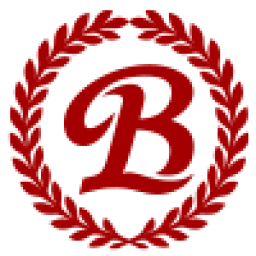 Logo Best Linking Group Holdings Ltd.
