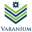 Logo Varanium Capital Advisors Pvt Ltd.