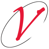 Logo Visonex LLC