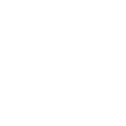 Logo Sirdar Group Ltd.