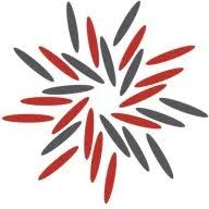 Logo Starn Group Ltd.