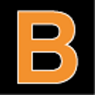 Logo BAPP Group Ltd.