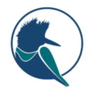 Logo Kingfisher Metals Ltd.