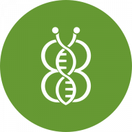 Logo Beta Bugs Ltd.