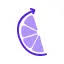 Logo The Startup Squad LLC
