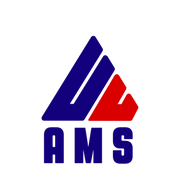 Logo AMS Consulting LLC