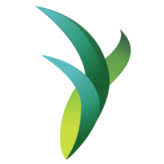 Logo Seraf Private Investor Office LLC