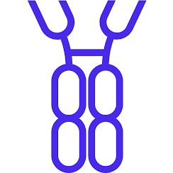 Logo ALX Oncology Holdings, Inc.