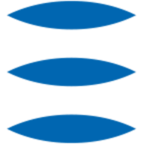 Logo F. Rego – Corretores de Seguros SA