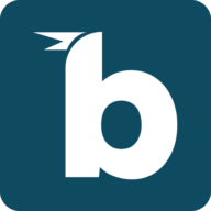Logo BIRDIE SSOT LLC