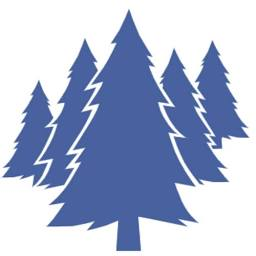 Logo Timber Point Capital Management LLC