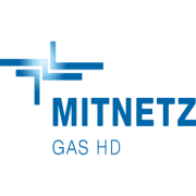 Logo Mitteldeutsche Netzgesellschaft Gas HD mbH