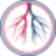 Logo American Endovascular, Inc.