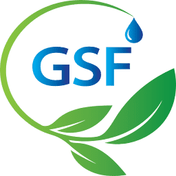 Logo Global Sustainable Future
