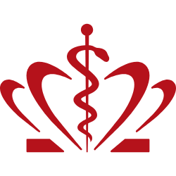 Logo Healthcare Denmark
