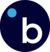 Logo Bindle Systems, Inc.
