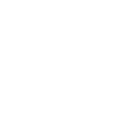 Logo Public Health Co. Group, Inc.