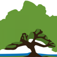 Logo Live Oak Environmental LLC