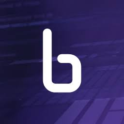 Logo Binarly, Inc.