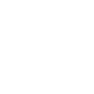 Logo Servicios Aeroportuarios Andinos SA